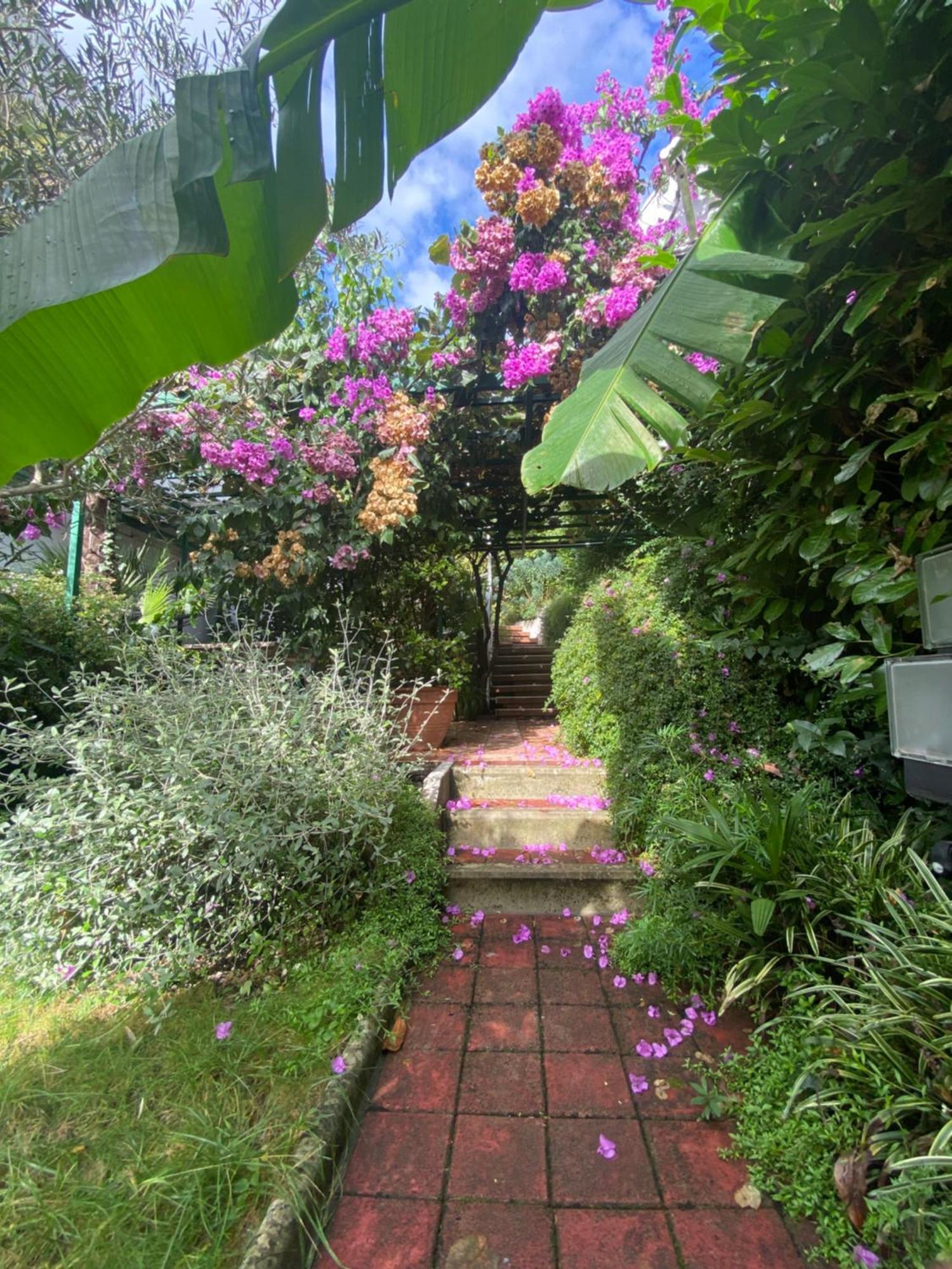 Sunny Garden Opatija Exterior foto